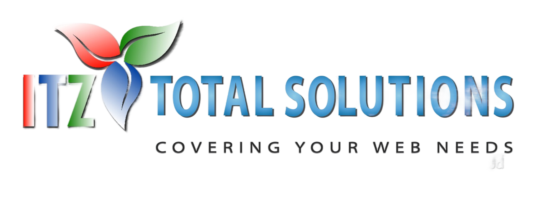 ITZ Total Solutions — Covering Your Web Needs